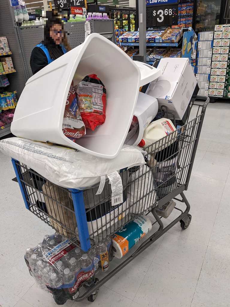 Shopping cart in Walmart checkout