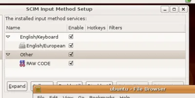 Screenshot of Ubuntu Input