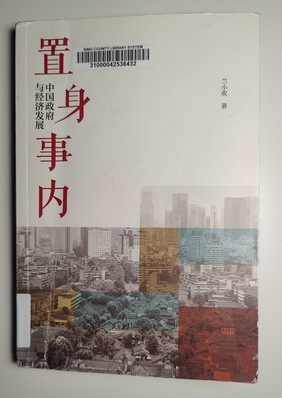 置身事内