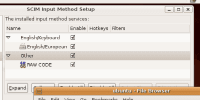 Screenshot of Ubuntu Input